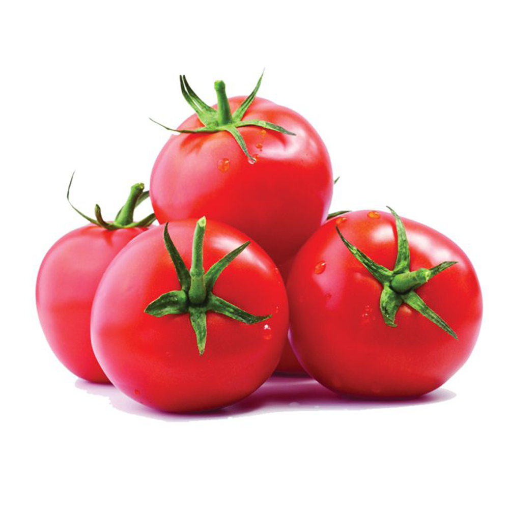 بندورة بلدية